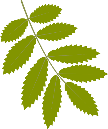 圖片關(guān)鍵詞
