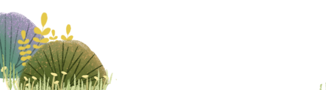 圖片關(guān)鍵詞