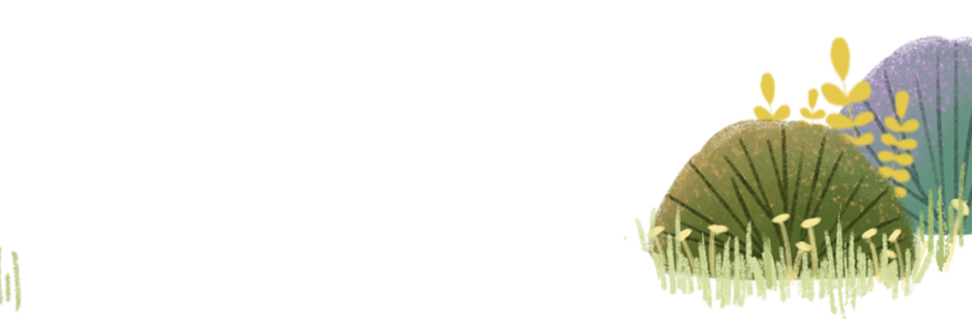 圖片關(guān)鍵詞