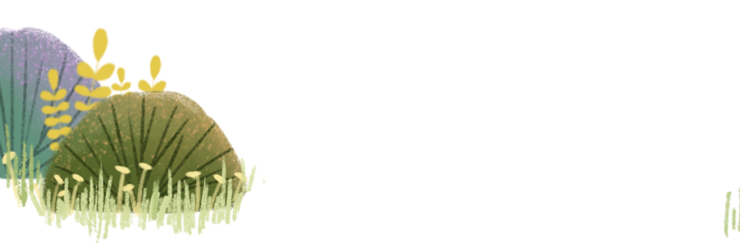 圖片關(guān)鍵詞